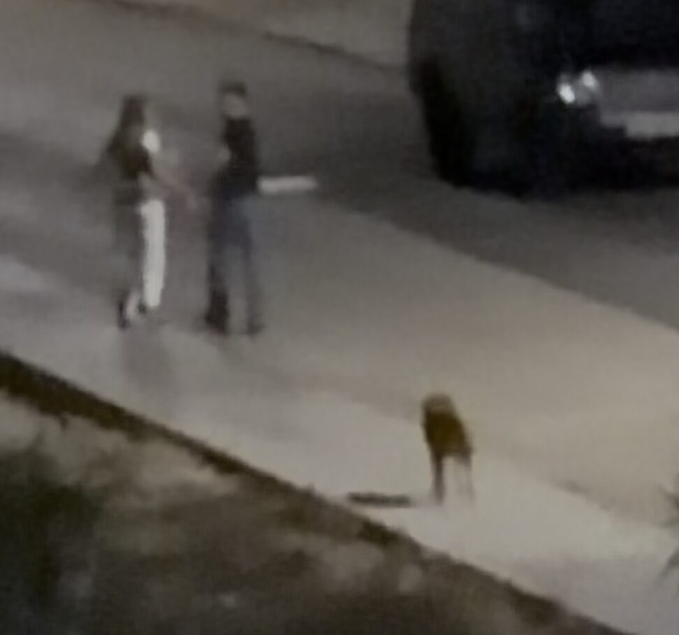 O cão solto na via pública, a poucos metros do casal.