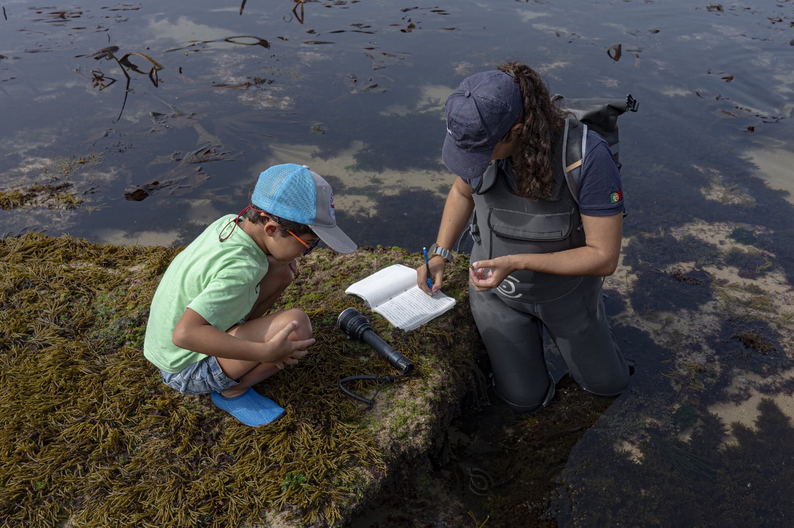 Discovering marine biodiversity in Ericeira