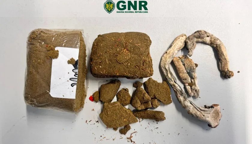 Mafra | Couple arrested for drug trafficking