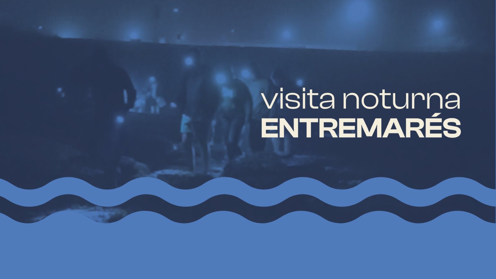 Visita Noturna na Maré Baixa na Ribeira d'Ilhas